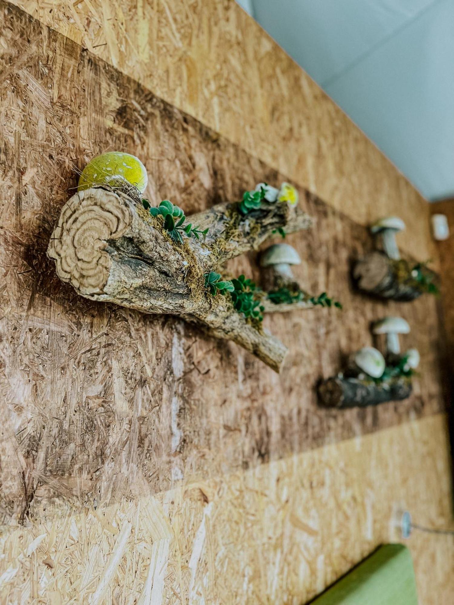 Natura Glamping Alcongosta Kültér fotó