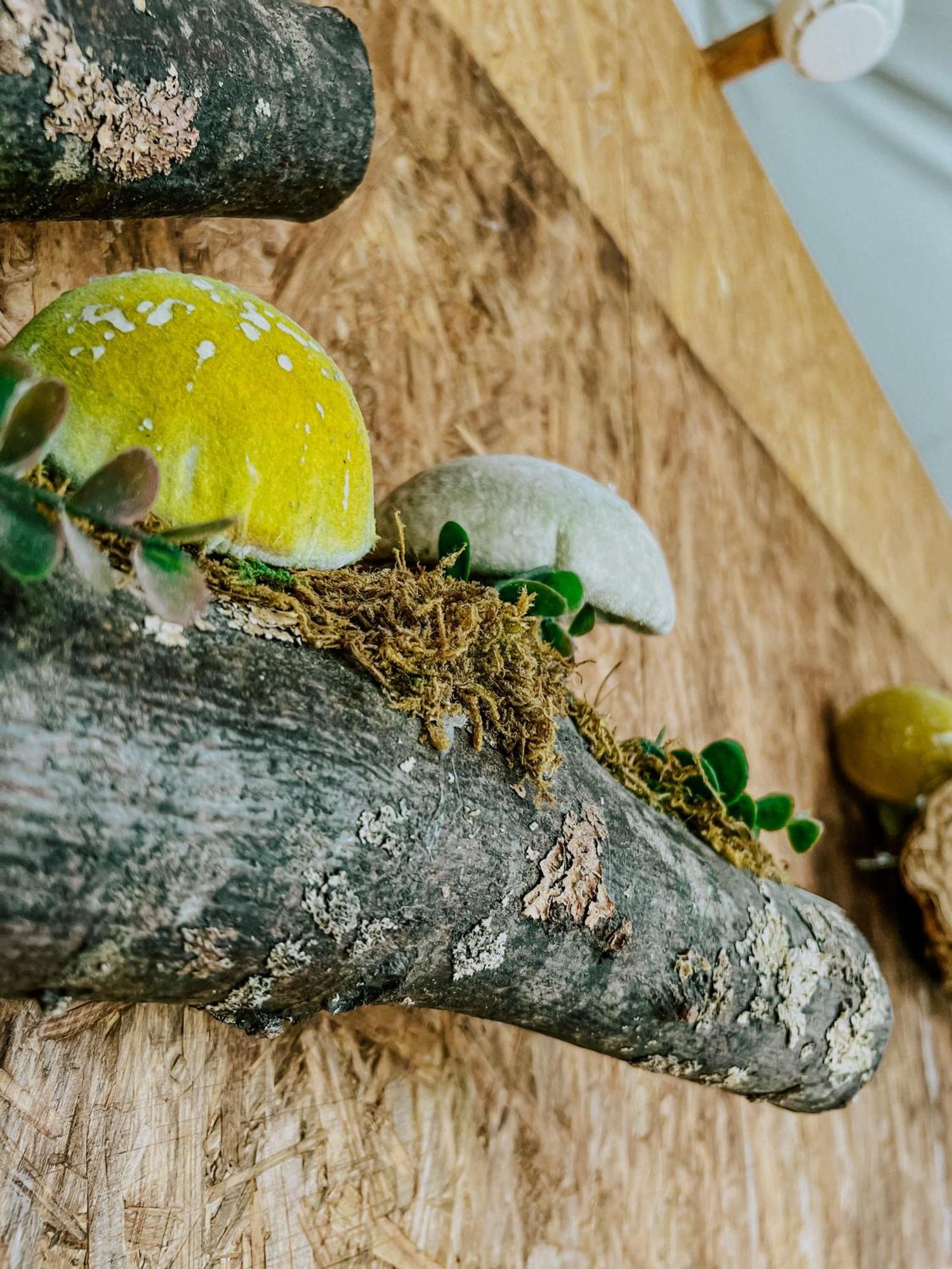 Natura Glamping Alcongosta Kültér fotó